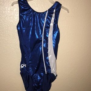 blue and silver GK gymnastics leotard